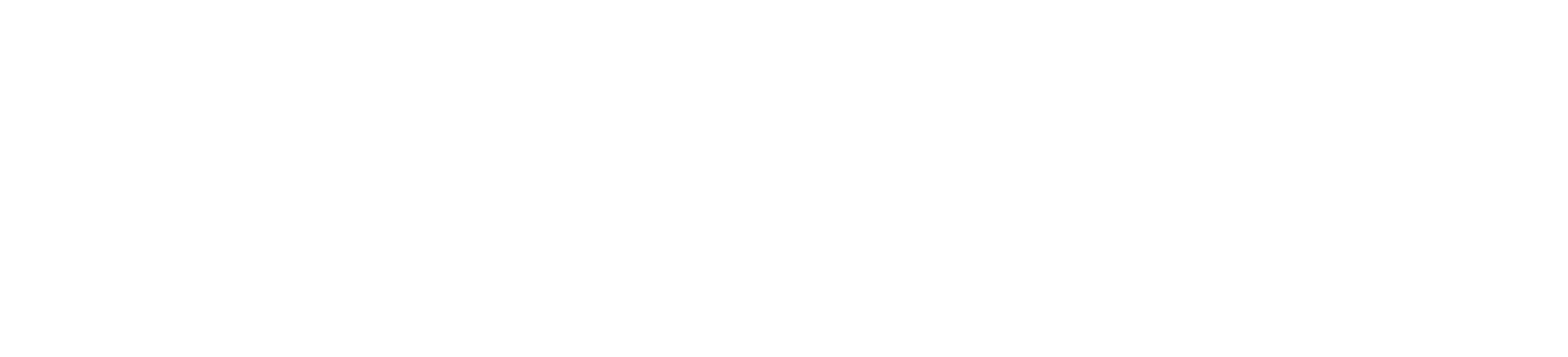 KaiNext logo